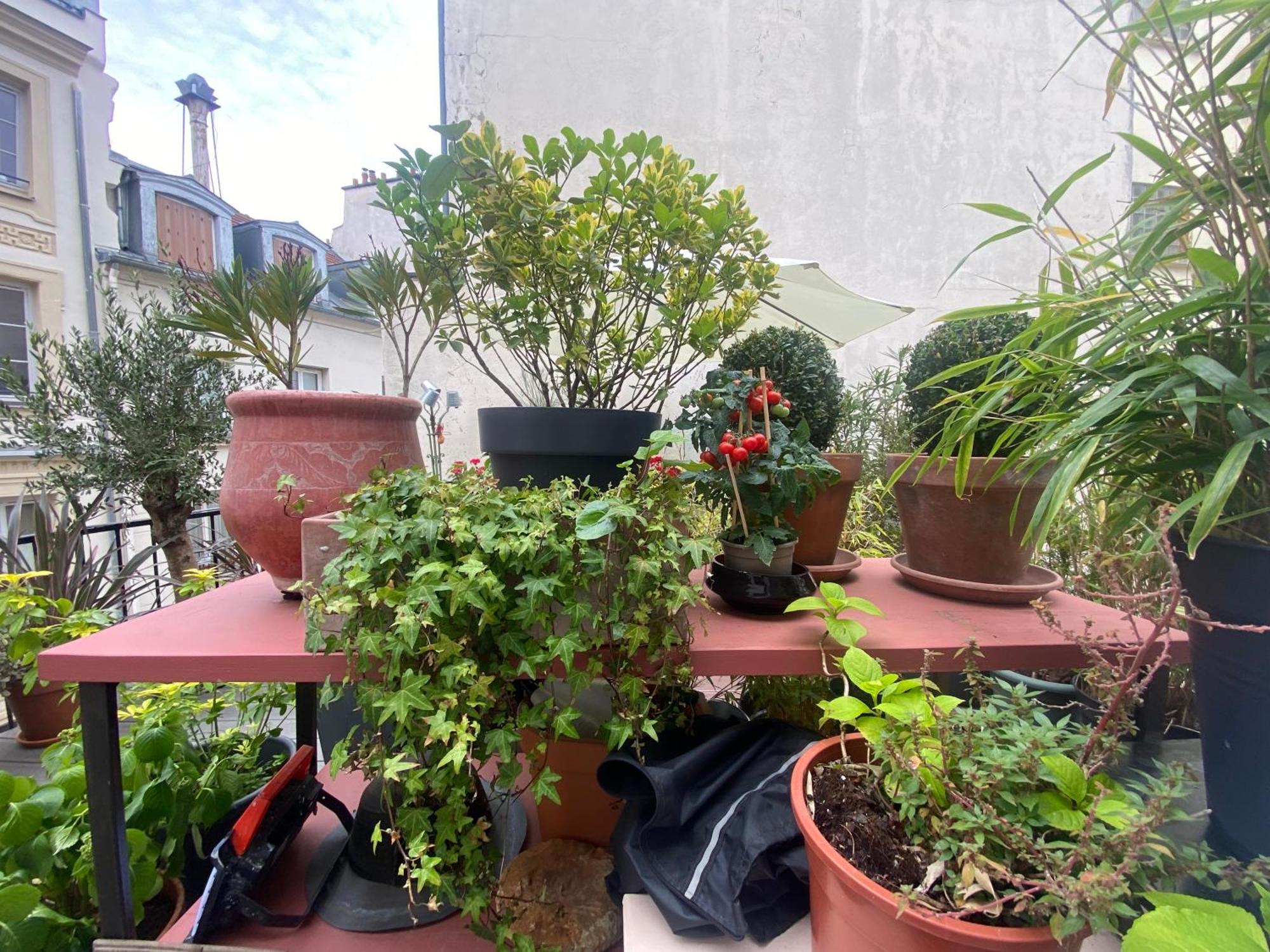 Aux Terrasses De La Lune Apartamento *